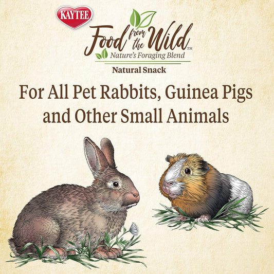 Kaytee Food from The Wild Natural Snack for Pet Rabbits, Guinea Pigs And Other Small Animals, 1 Ounce