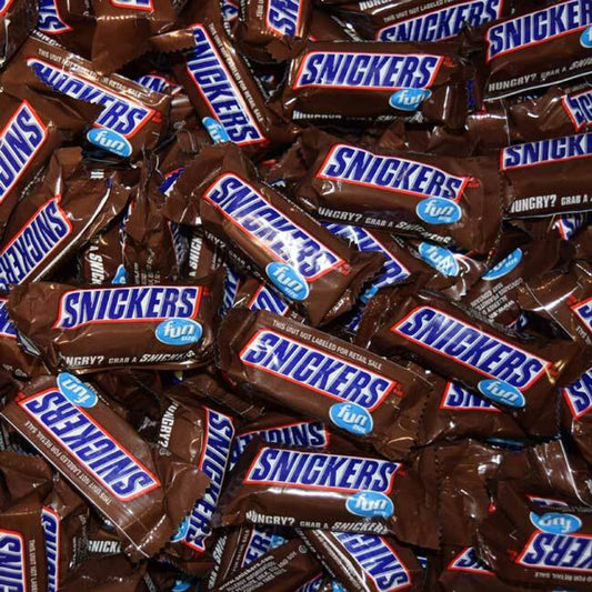 Snickers Fun Size 20lb Bulk